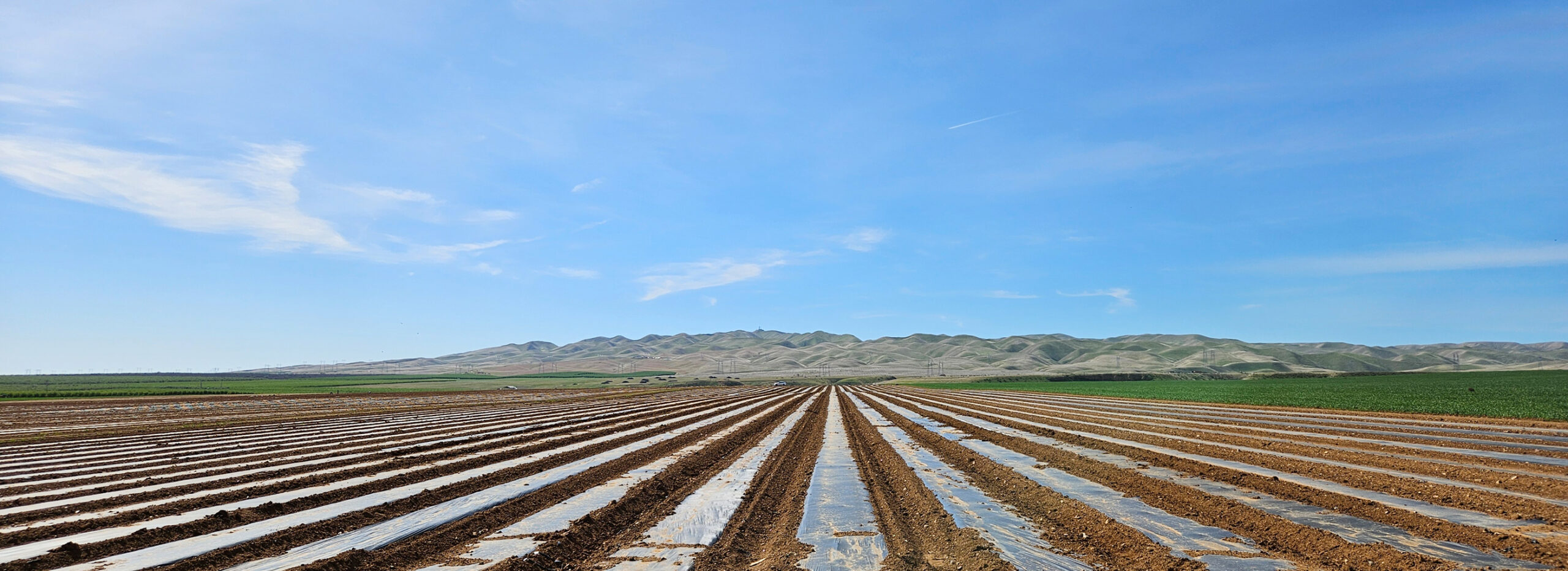 Revolutionizing Agriculture Through Technology