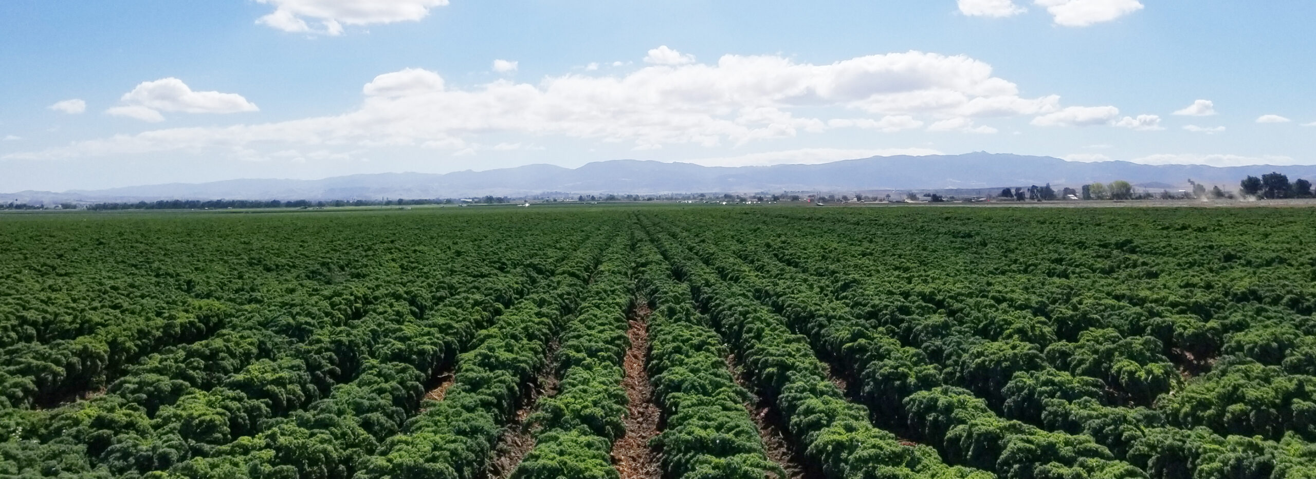 Revolutionizing Agriculture Through Technology